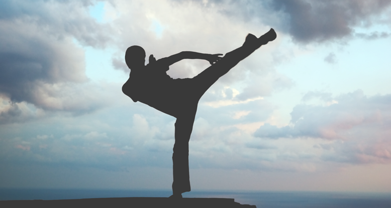 Photograph of someone performaing a martial arts pose